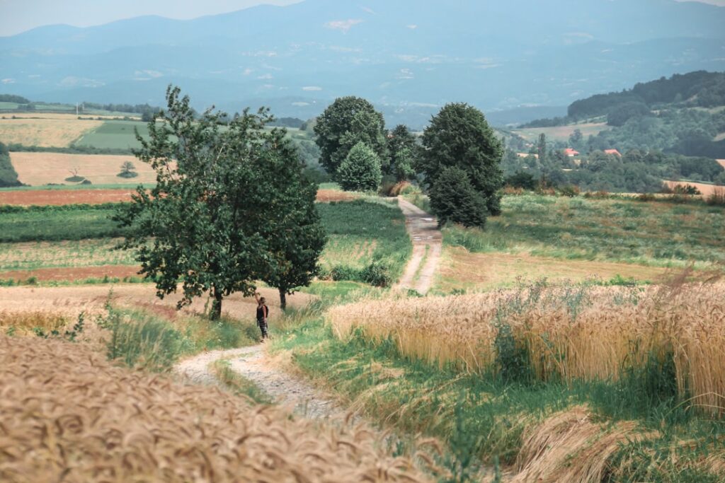 Photo Rural landscape